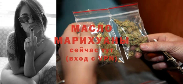 индика Лабытнанги