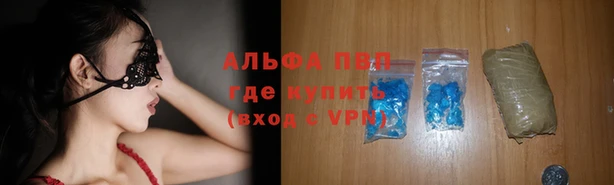дживик Баксан