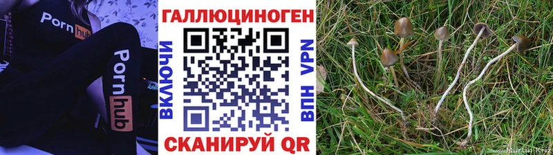 Купить Белоярский Псилоцибиновые грибы Magic Shrooms